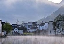 岩丛茶叶选购指南(岩丛茶叶选购指南最新)